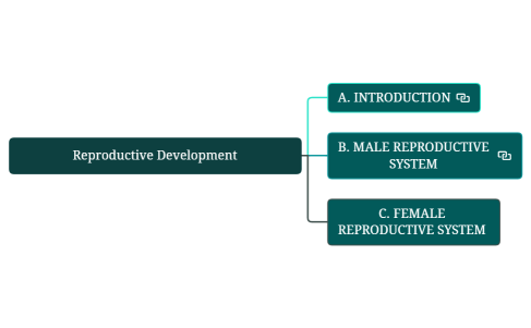 1.1 - Reproductive Development