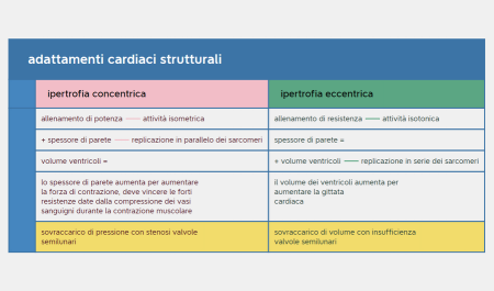 adattamenti cardiaci strutturali