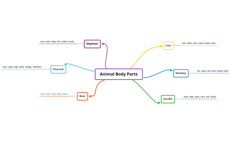 Animal Body Parts
