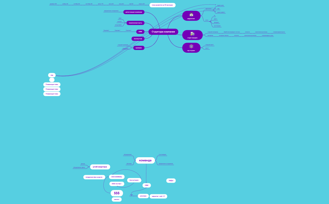 Структура компании