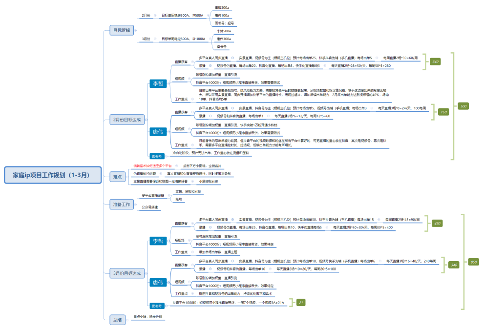 家庭ip项目工作规划（1-3月）