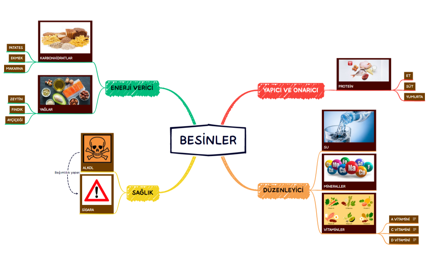BESİNLER