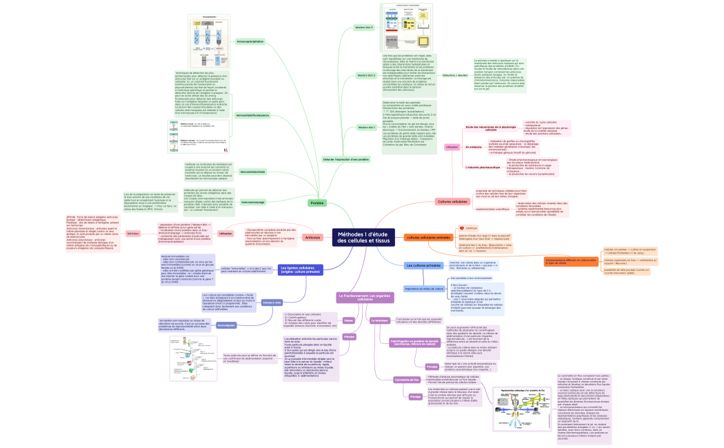Méthodes 1 d’étude des cellules et tissus