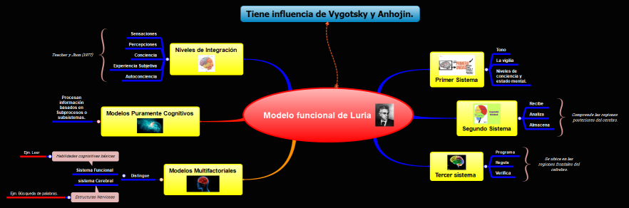 Modelo funcional de Luria (F)