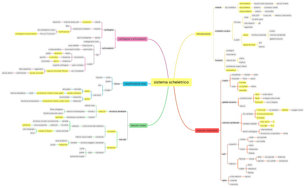 sistema scheletrico