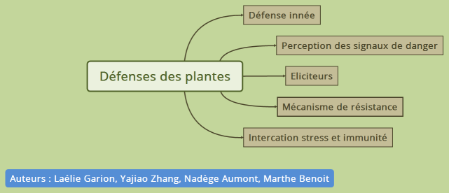 Défenses des plantes