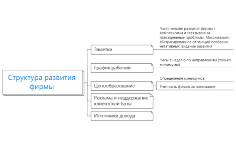 Структура развития фирмы 