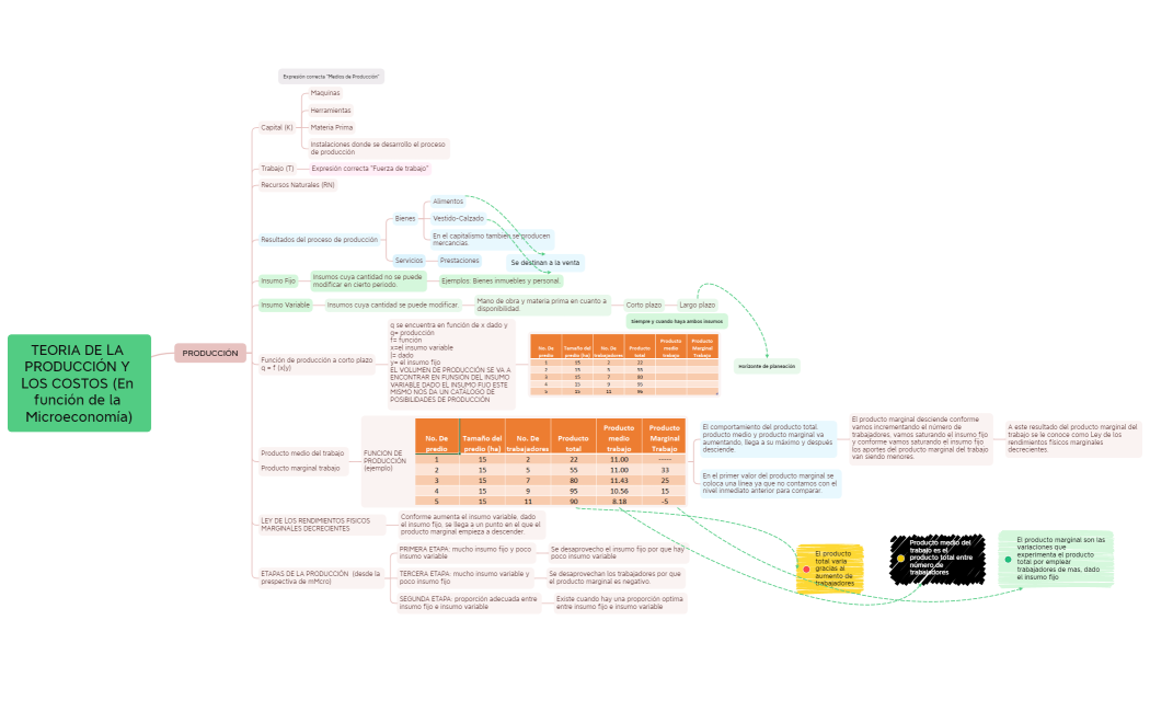 TEORIA DE LA PRODUCCIÓN Y LOS COSTOS (En función de la Microeconomía)