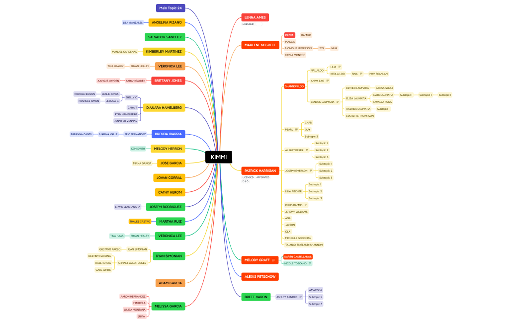 SKIMMI BUBBLE CHART.xmind
