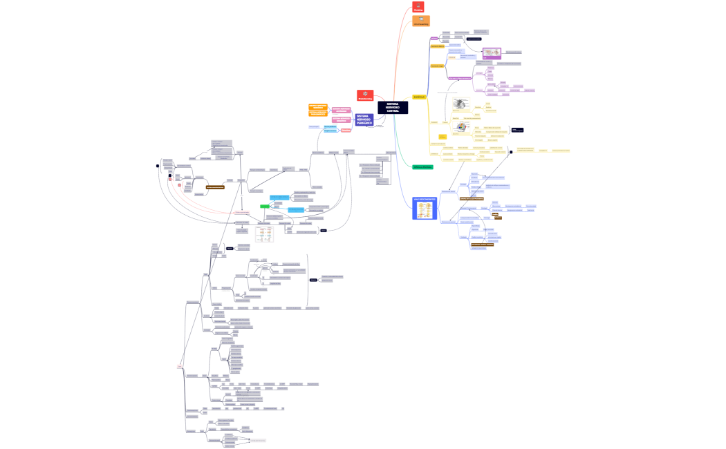 SISTEMA NERVIOSO CENTRAL