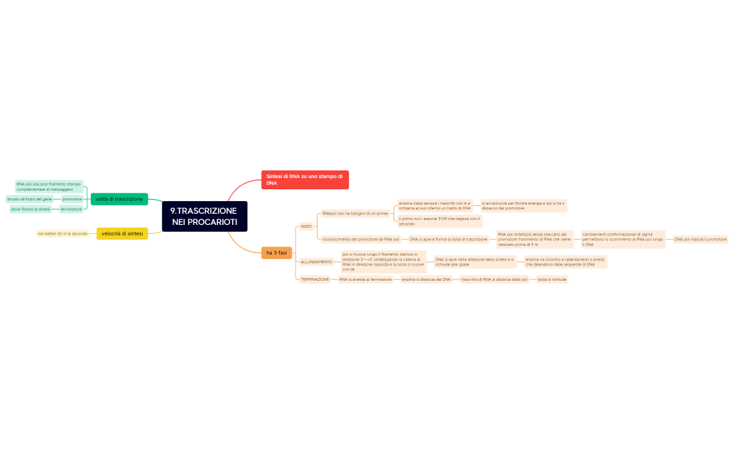 Senza titolo 2.xmind