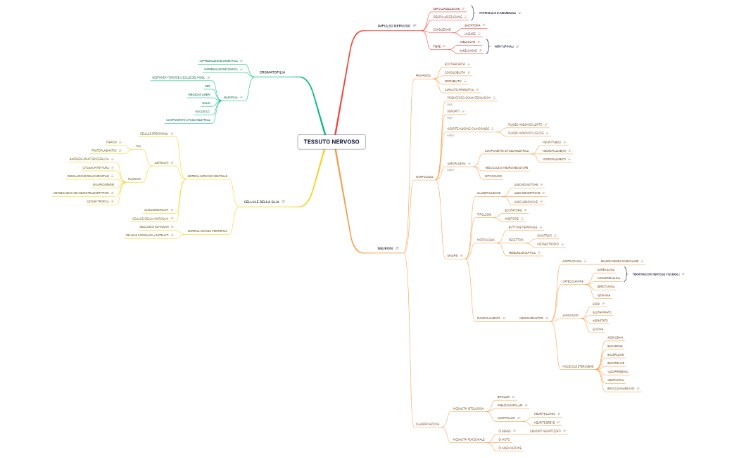 TESSUTO NERVOSO